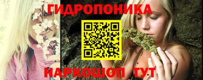 шишки Конаково