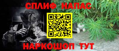 шишки Конаково